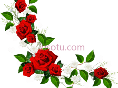 玫瑰,purple rose line border PNG