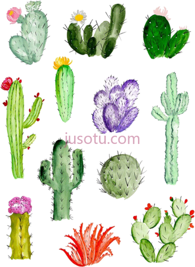 仙人掌,cactaceae watercolor painting succulent plant cactus PNG