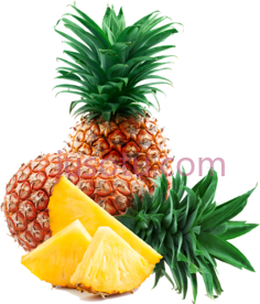 菠萝PNG