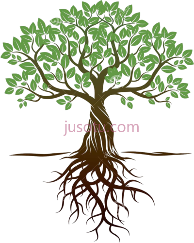 树根,roots tree PNG