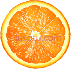 橘子片PNG