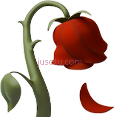 玫瑰,rose dead flower iphone library PNG