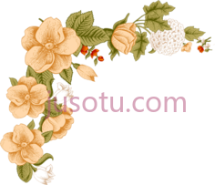 桃花边框, PNG