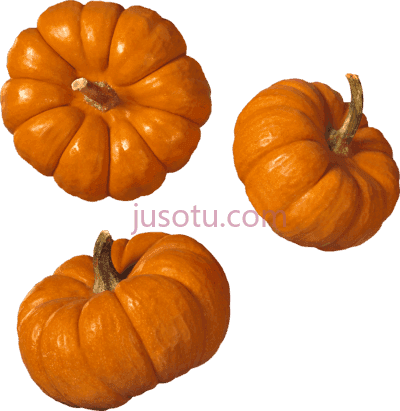 南瓜,vegetables pumpkin PNG