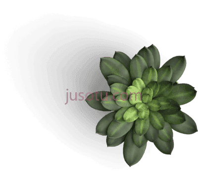 植物,table plant PNG