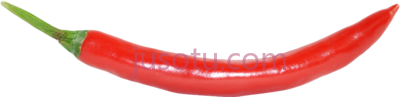红辣椒,red chili single PNG