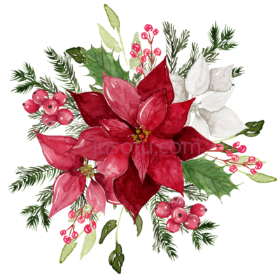 红色水彩花,red watercolor matting PNG