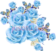蓝玫瑰PNG