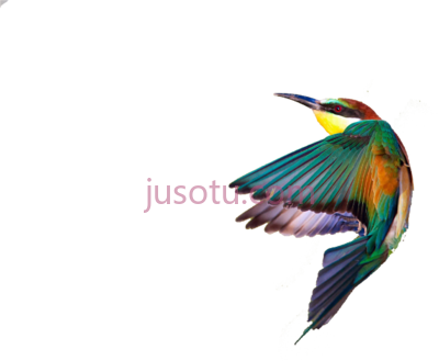 翠鸟,spring birds common kingfisher PNG