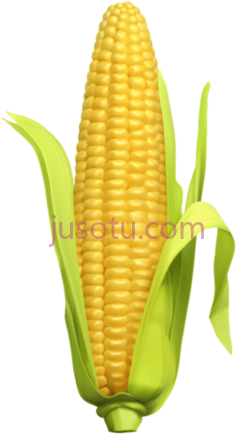 玉米PNG