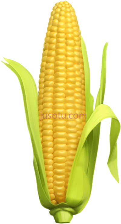 玉米,corn beej PNG
