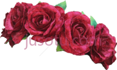 玫瑰冠PNG