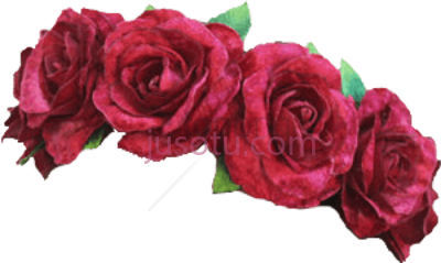 玫瑰冠,black crown rose PNG