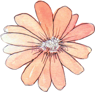 水彩画,watercolor draw PNG