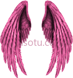 粉红金色天使翅膀PNG