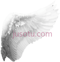 天使翅膀PNG