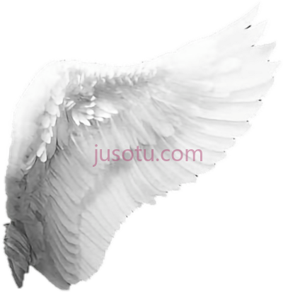 天使翅膀,angel side PNG