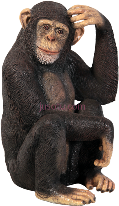 猴子,monkey fiberglass life size PNG