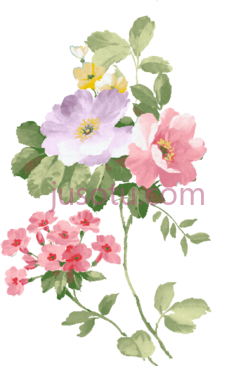 玫瑰水彩画PNG