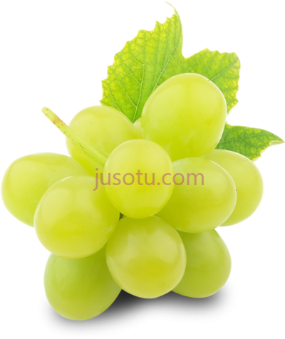 青葡萄,green grapes export PNG