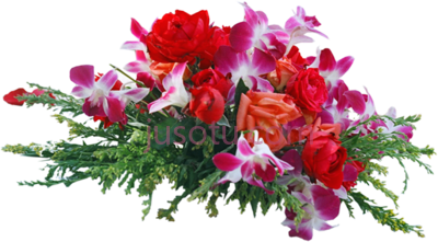 花,flowers PNG