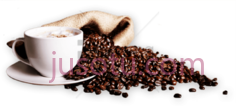 咖啡豆PNG