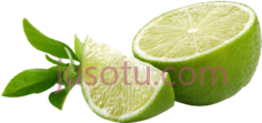 柠檬青片PNG