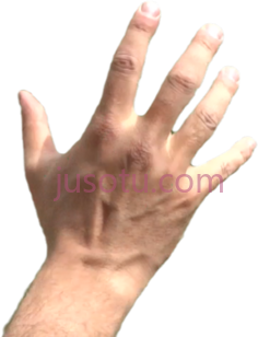 抓手, PNG