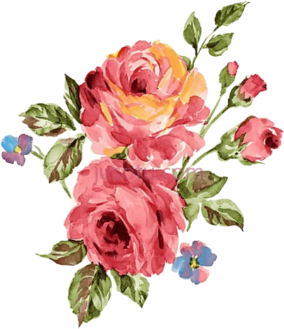 水彩花卉,rosa oleo decoupage pintura aquarela ns painted flowers wallpaper PNG