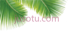 棕榈叶,树木 PNG