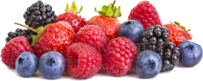 红色浆果,red fruits berries PNG
