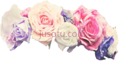 花冠,floral crowns PNG