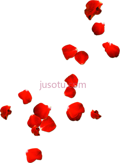 玫瑰花瓣,rose petals PNG