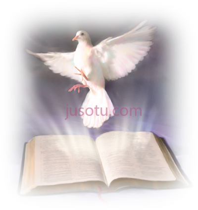 鸽子,paloma confirmacion el espiritu santo y la biblia PNG