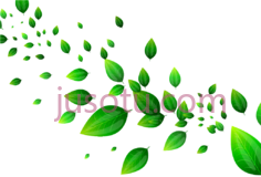 绿叶PNG
