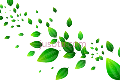 绿叶,green leaves garden falling border PNG