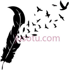 羽毛PNG