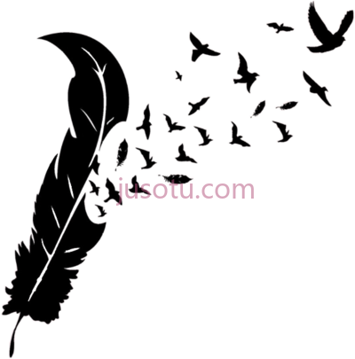 羽毛,feather PNG