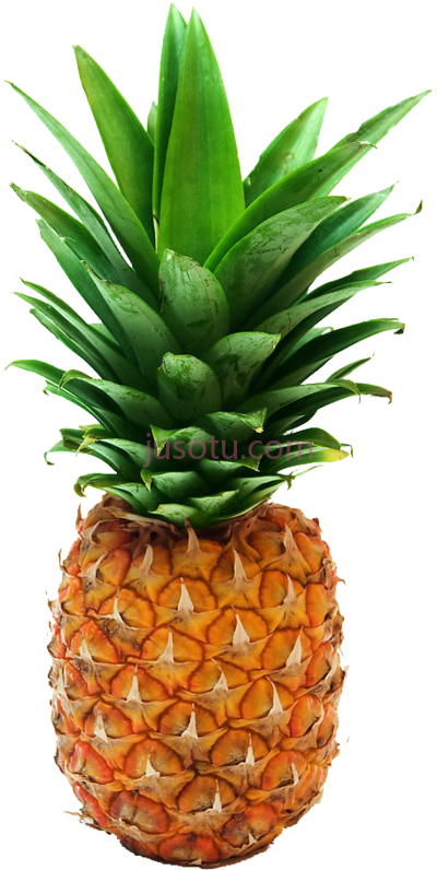 菠萝,pineapple PNG