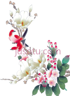 水彩花,flower PNG