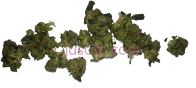 一袋野草芽,bag weed bud PNG