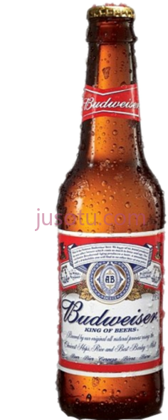 百威啤酒瓶PNG