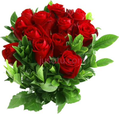 红色花朵玫瑰,red beautiful flowers PNG