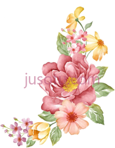 水彩花,color PNG