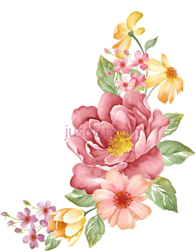 水彩花,water paintings silk flowers PNG
