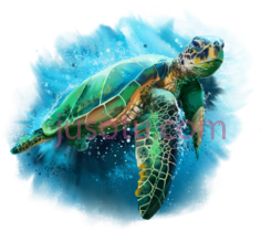 海龟PNG