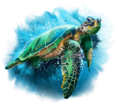 海龟,sea turtle watercolor PNG