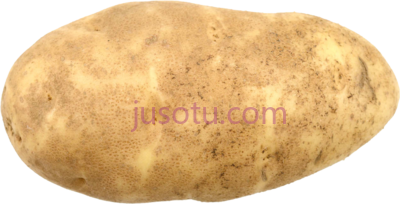 土豆,potato skinny PNG