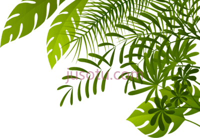 丛林,jungle PNG