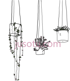 悬挂植物PNG